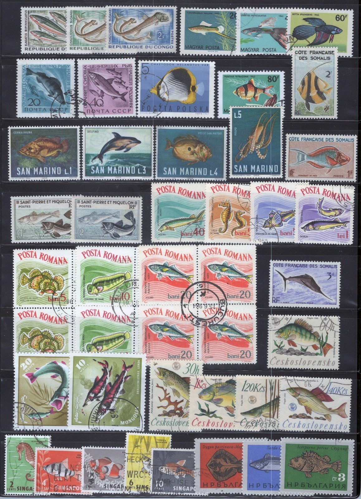 Fish Collection Worldwide Used Animals Marine Life Nature ZAYIX 011023SM04