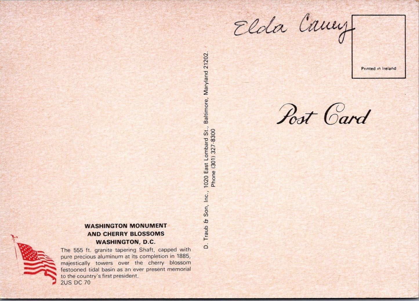 Washington Monument and Cherry Blossoms, Washington DC Postcard ZAYIX