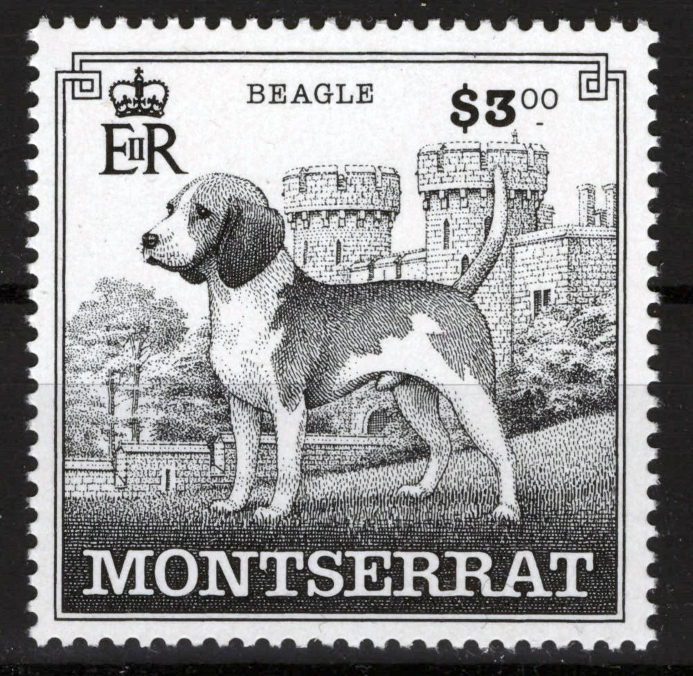 Montserrat 1999 Dog Breeds Poodle Beagle Terrier Scott# 989-993 MNH VF ZAYIX