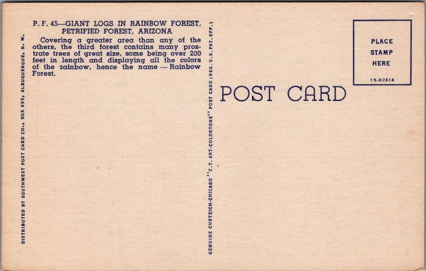 Petrified Forest Giant Logs Rainbow Forest Arizona Postcard ZAYIX 083022PC49