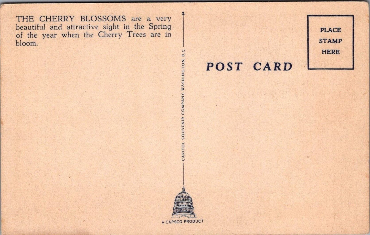 Lincoln Memorial & Cherry Blossoms Washington DC Postcard ZAYIX 083022PC48