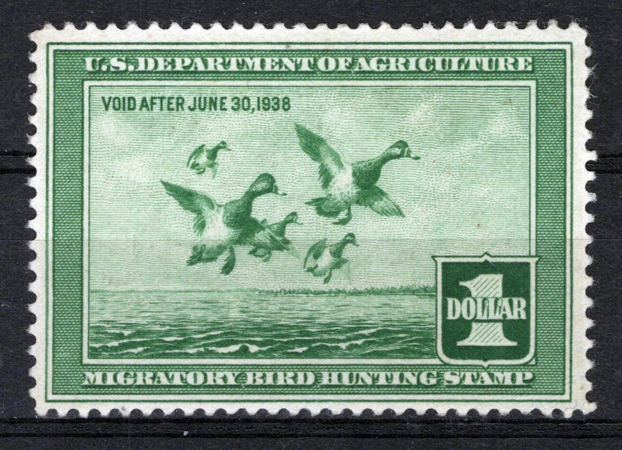 US RW4 MNH VF $1 light green Scaup Ducks Duck Revenue Zayix Stamps 0225MAR0022