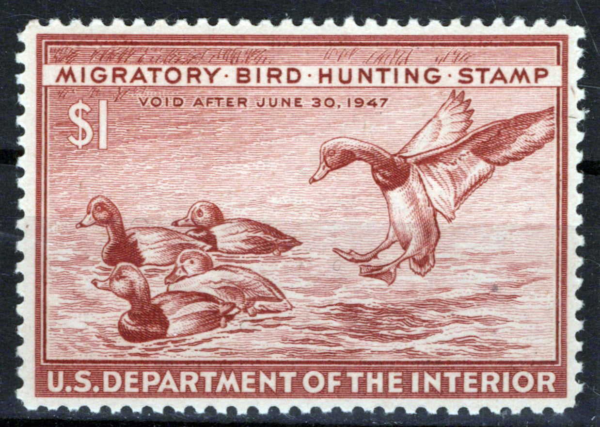 US RW13 MNH VF $1 red brown Redhead Duck Revenue Zayix Stamps 0225MAR0031