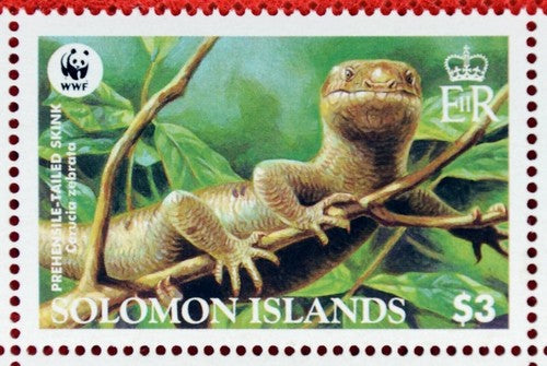 Solomon Islands 1035-1038 MNH Prehensile-Tailed Skinks Lizards ZAYIX 0224S0080aM
