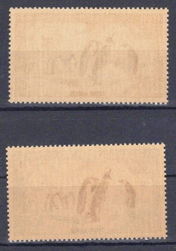 FSAT TAAF C1-C2 MNH Air Post Penguins Birds Antarctic ZAYIX FSA-S0170M