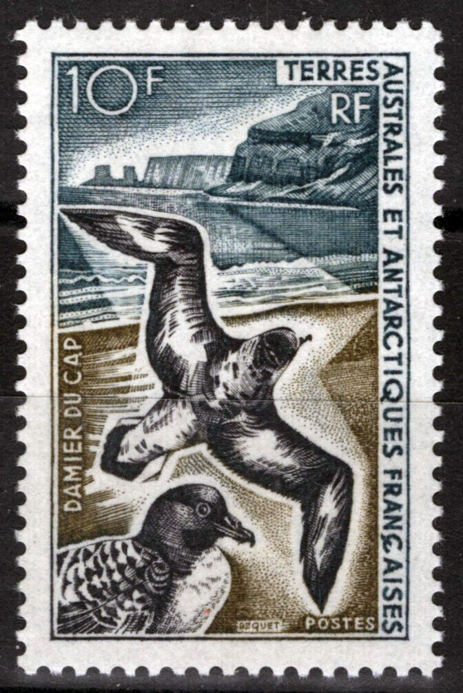 FSAT TAAF 26 MH Birds Cape Pigeons FSA-S0035