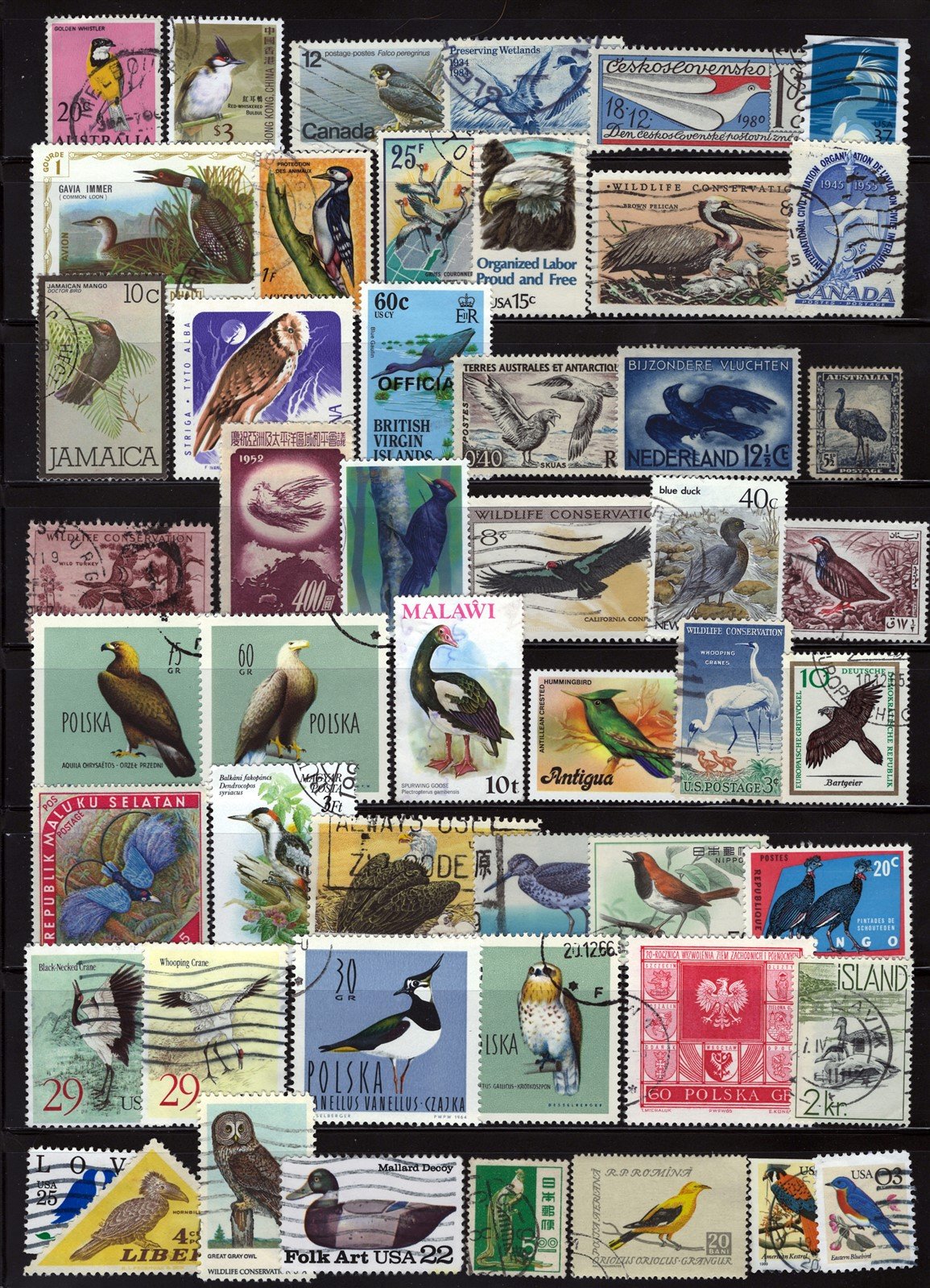 Birds Stamp Collection Mint/Used All Different Zayix Stamps 0425S0301