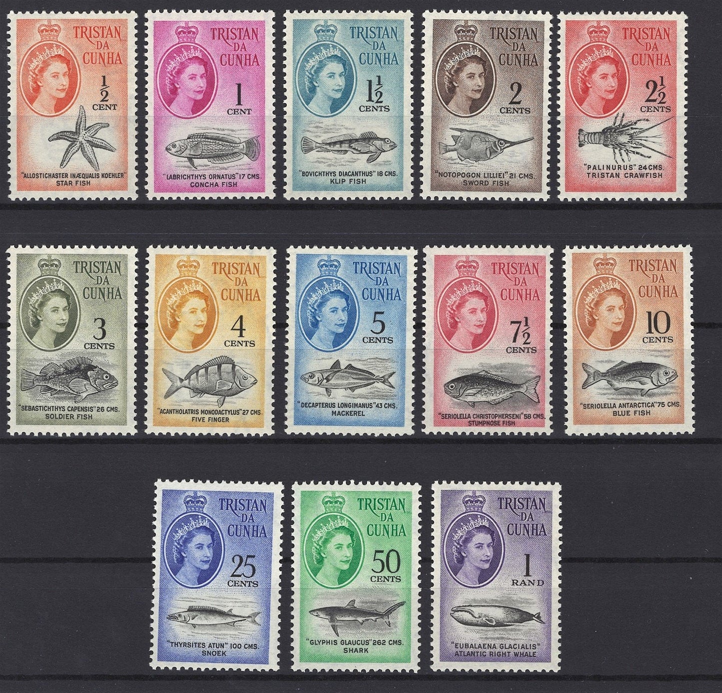 Tristan da Cunha 42-54 MNH VF Marine Life Definitive Set ZAYIX STAMP 0525S0051
