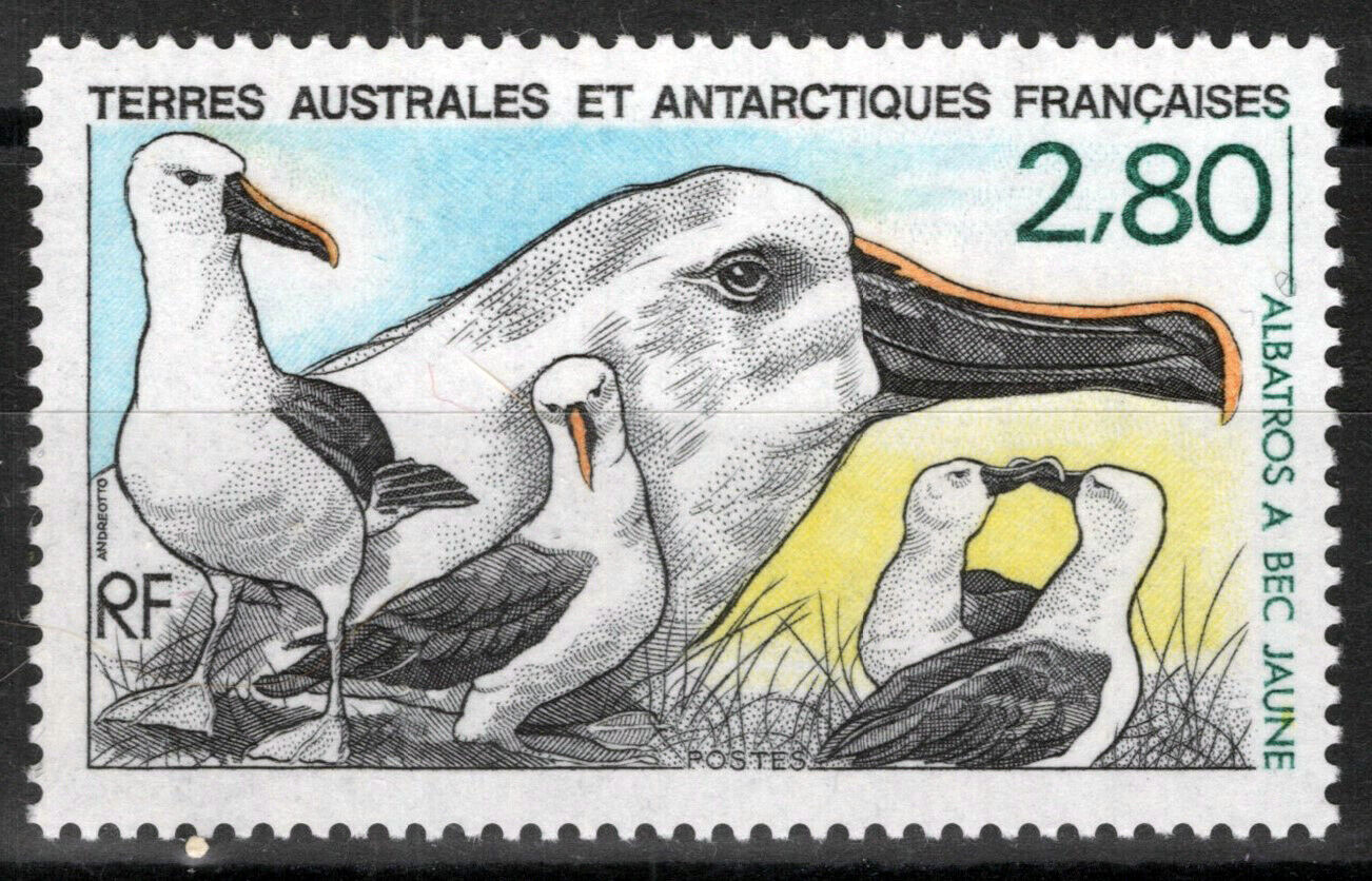 FSAT TAAF 155 MNH Arctic Birds Yellow Billed Albatross ZAYIX FSA-S0117M