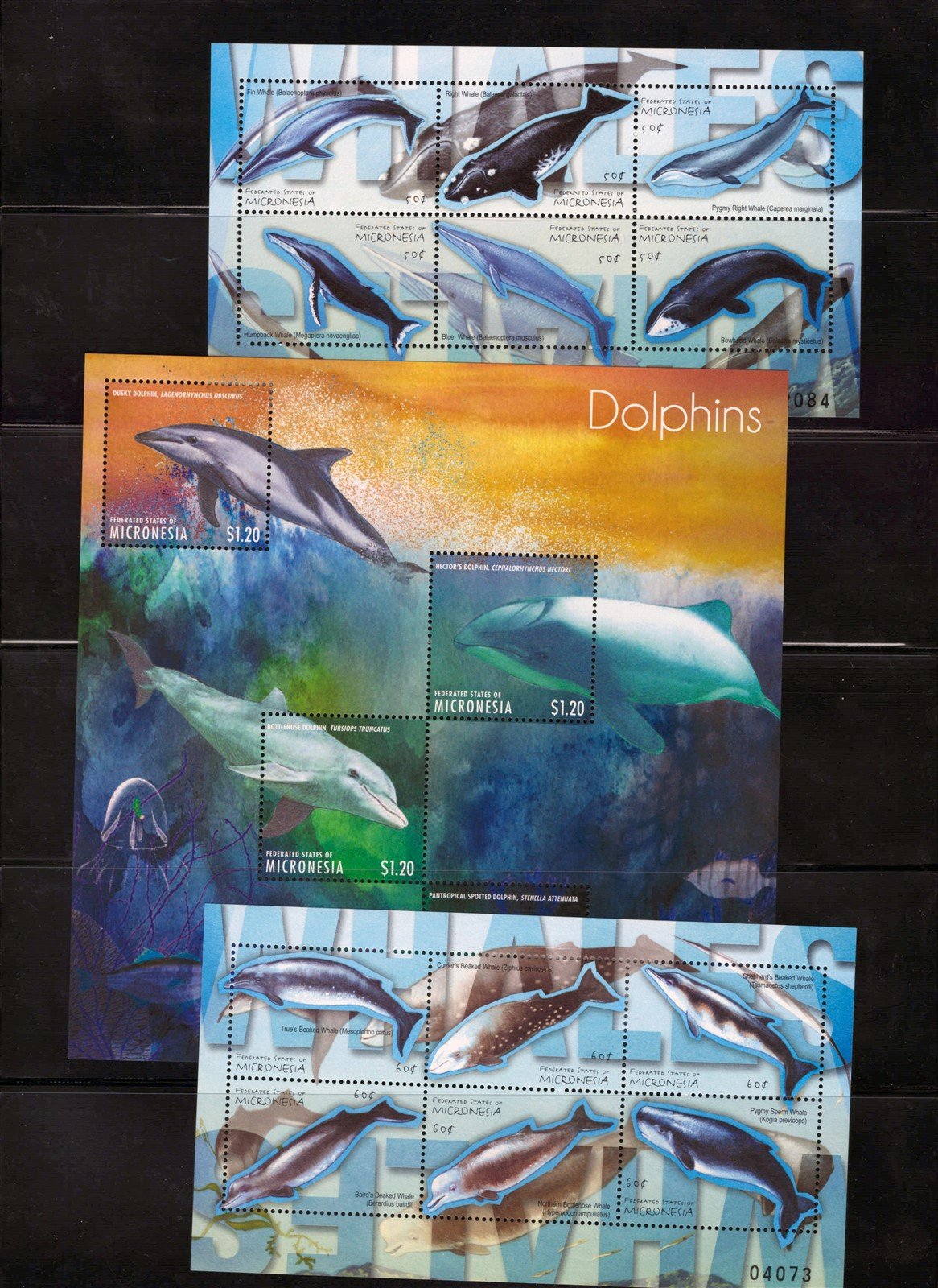 Whales, Dolphins, Penguins, Polar Bears, Micronesia Collection ZAYIX 0825L1694