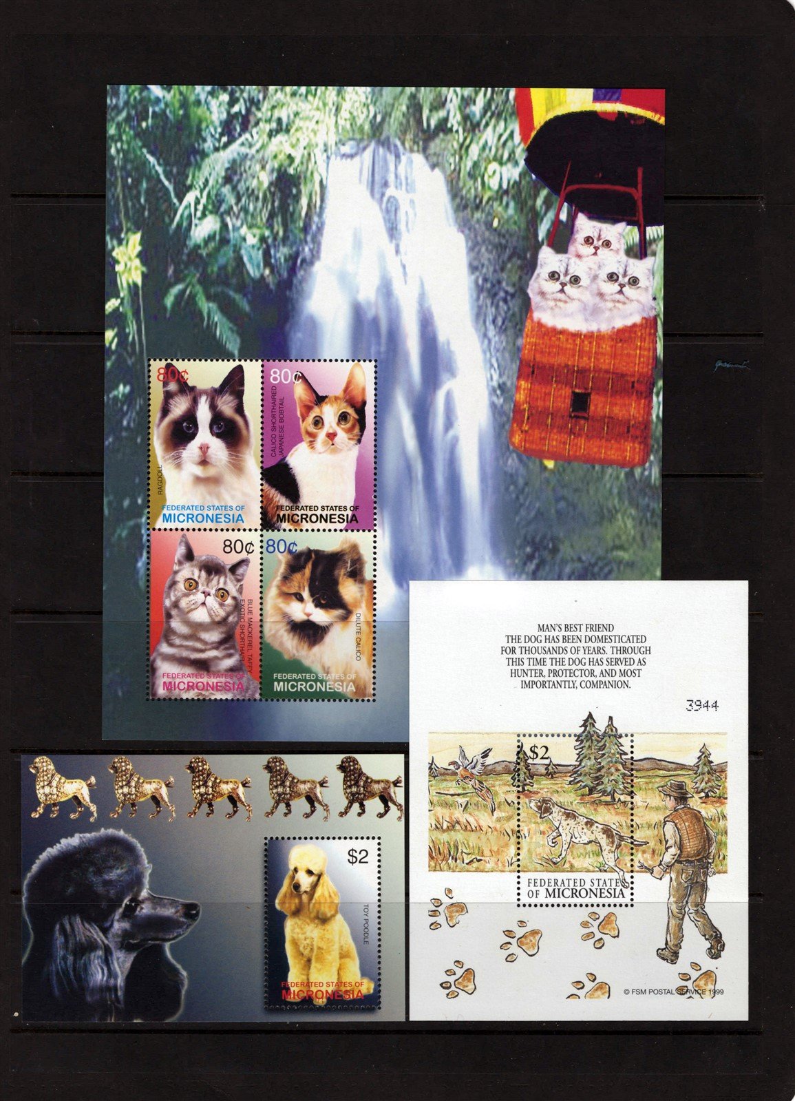 Dogs & Cats MNH Super Cute Three-Page Collection Micronesia ZAYIX 0825L1708