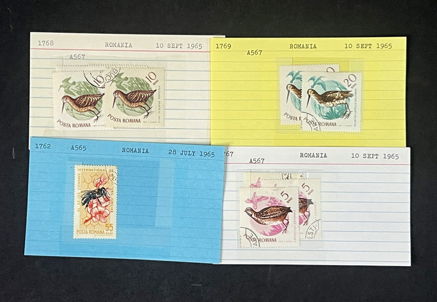 Romania Collection by Scott number on 700+ Dealer Cards ZAYIX 0825G3860