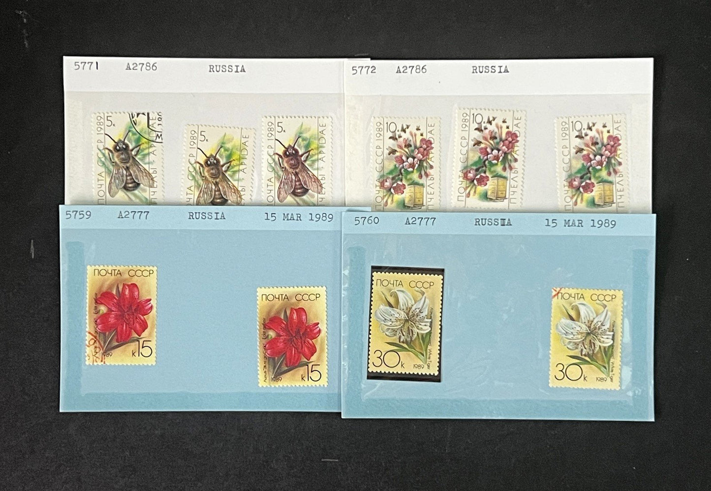 Russia Collection 2 on Hundreds of Dealer Cards by Scott# ZAYIX 0825G4057