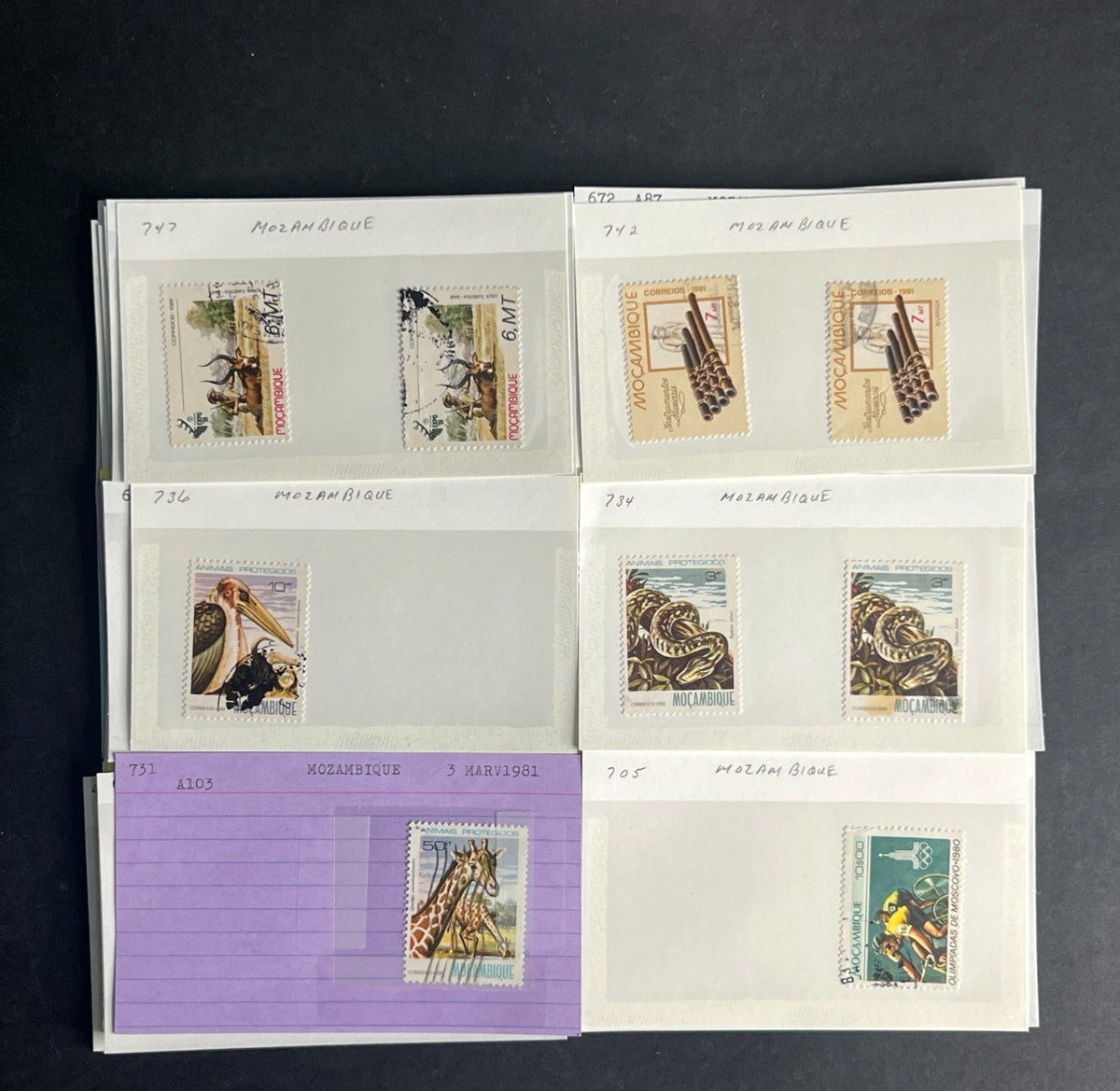 Mozambique Stamp Collection Dealer Cards $51 CV Mint & Used ZAYIX