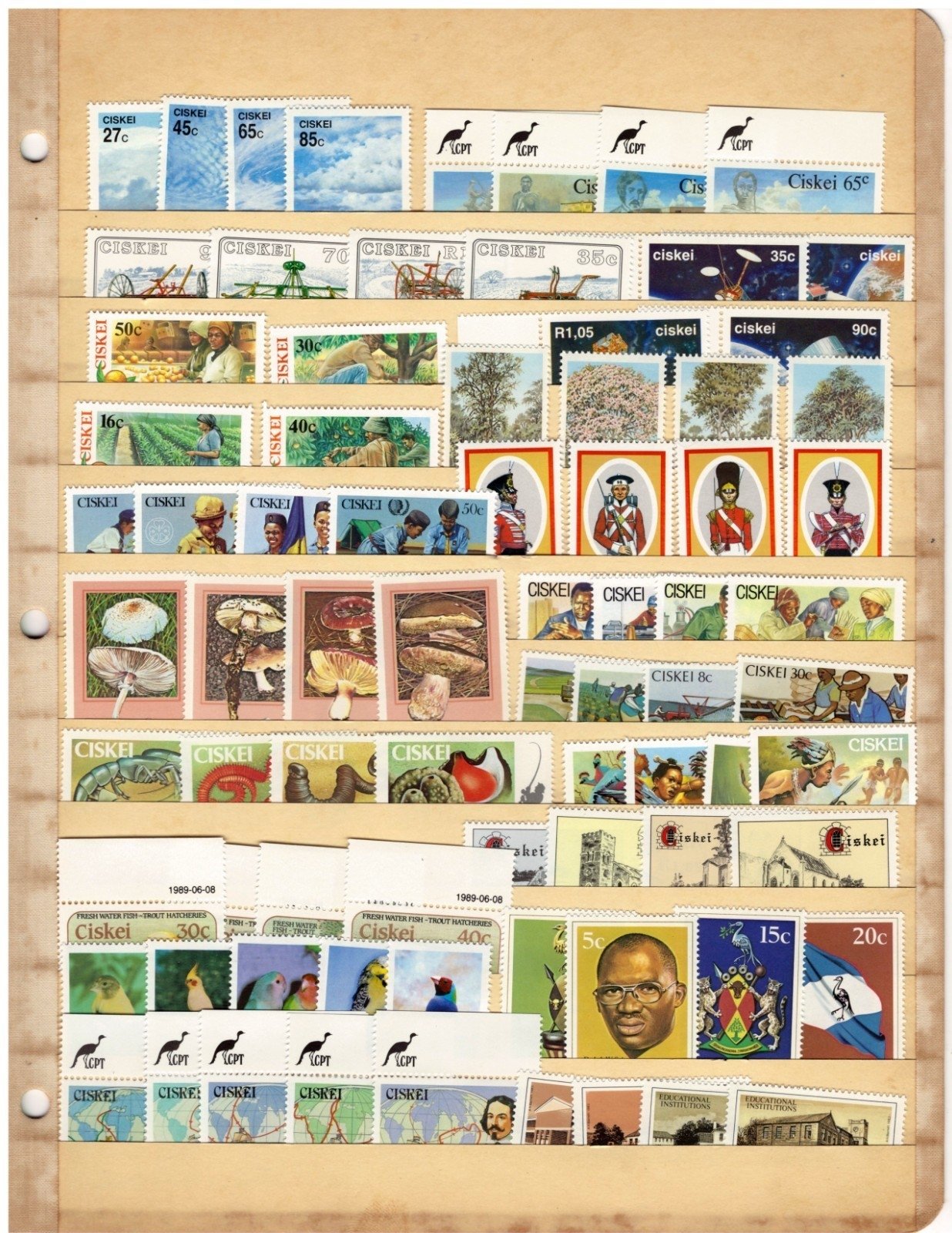 Ciskei Stamp Collection 1 Stock Pages Sets Singles $48 CV Stamps Mint ZAYIX