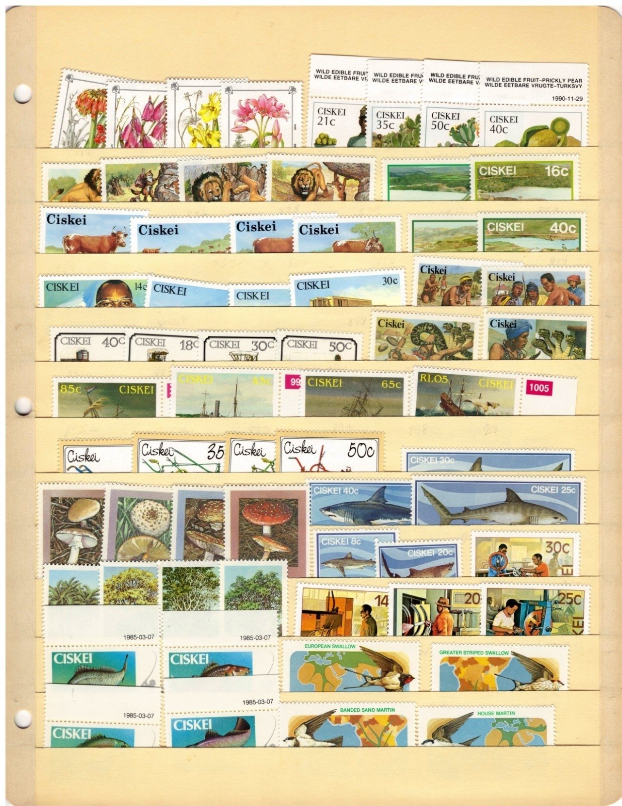 Ciskei Stamp Collection 2 Stock Pages Sets Singles $85 CV Stamps MNH/Used ZAYIX