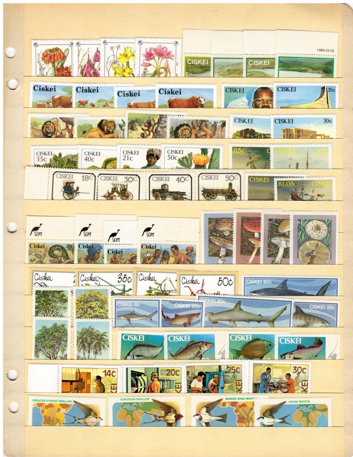 Ciskei Stamp Collection 2 Stock Pages Sets Singles $78 CV Stamps Mint/Used ZAYIX