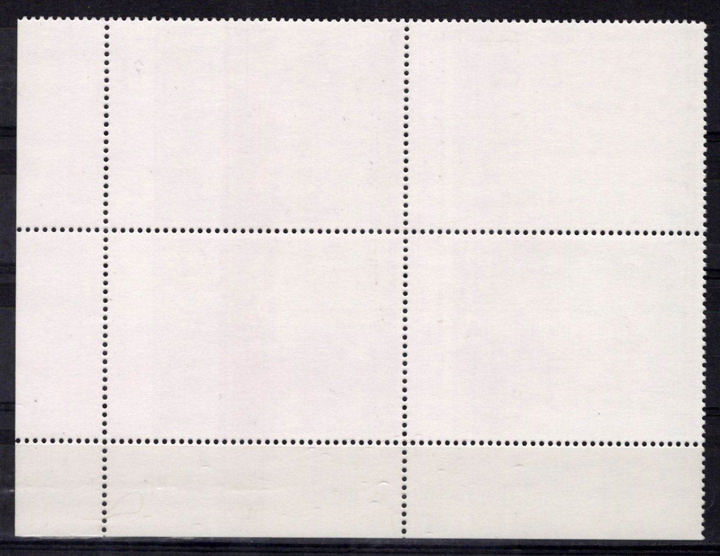 National Fish & Wildlife Inscription Block NFWF5 MNH 1991 $7.50 Pintails ZAYIX