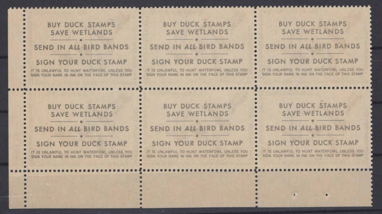US 1971 Cinnamon Teal $3 Duck Hunting Stamp Plate Block of 6 RW38 MNH VF ZAYIX