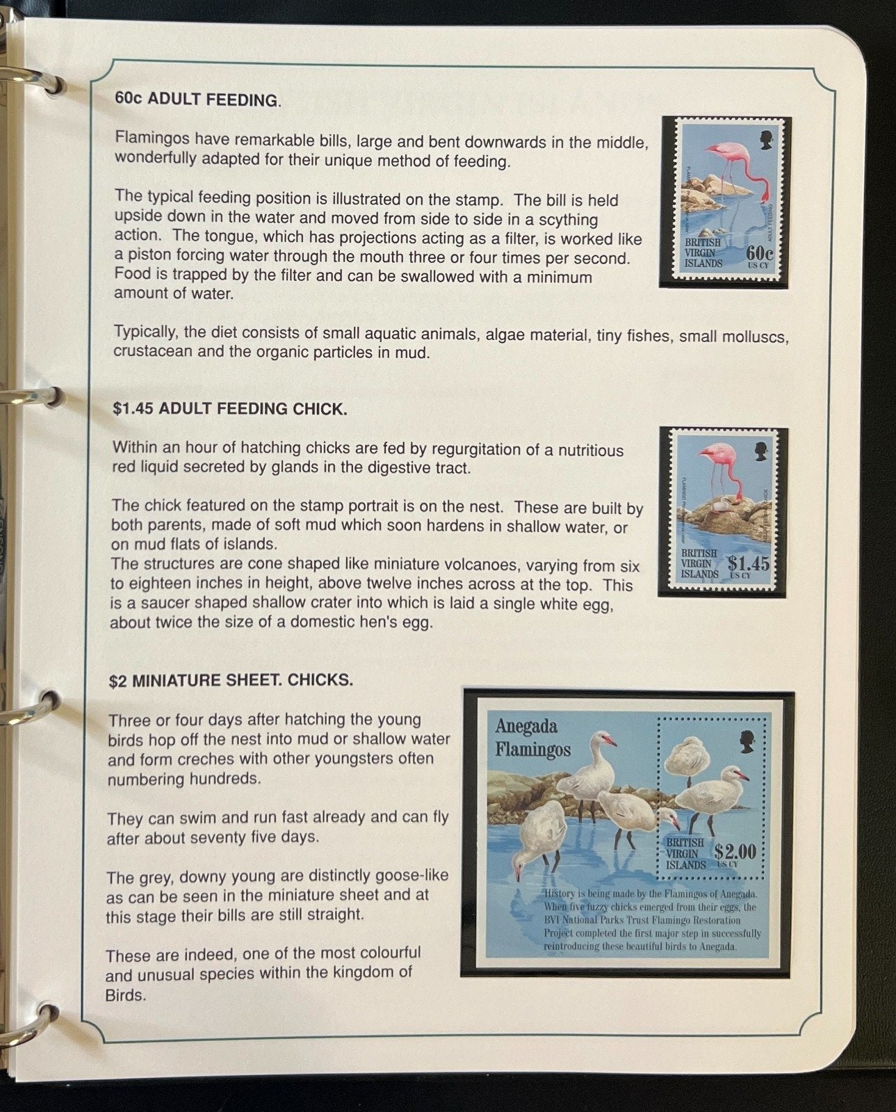 The Kingdom of Birds Stamp Collection 3 Volume Harris Albums MNH ZAYIX
