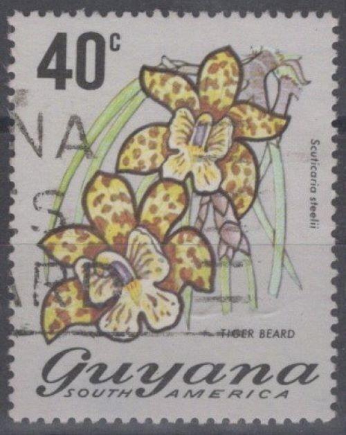 Guyana 142 Used - -40c Tiger Beard Lily Flower ZAYIX 111422S03M