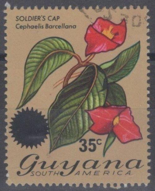 Guyana 234 Used - Soldier's Cap Flower overprint ZAYIX 111422S02M
