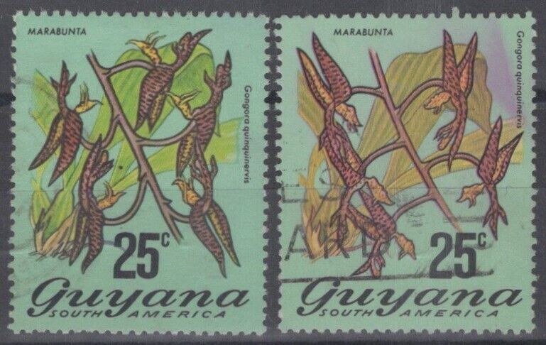 ZAYIX Guyana 141-141A used - 25c Marbunta flower value center & right 111422-S05