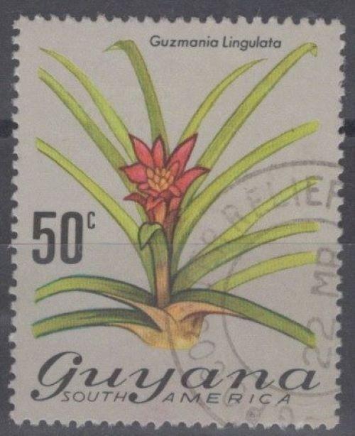 Guyana 143 Used - 50c Guzmania Lingulata Flower ZAYIX 111422S04M