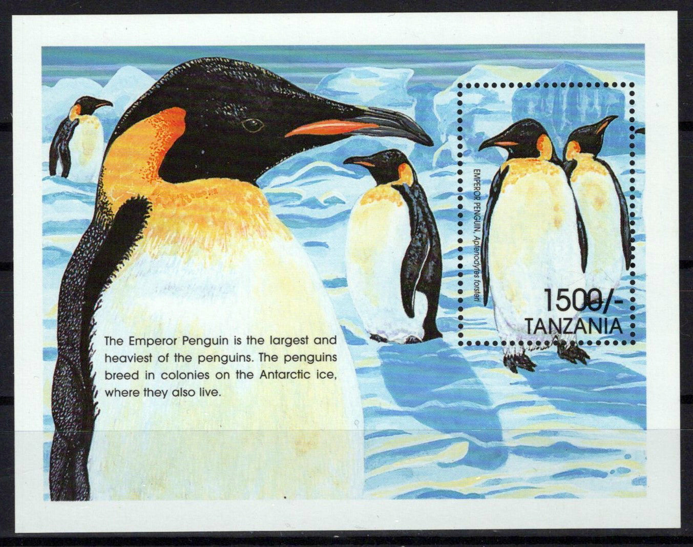 Tanzania BL 507 Penguins Birds Antarctic Zayix Stamps 0325M0220