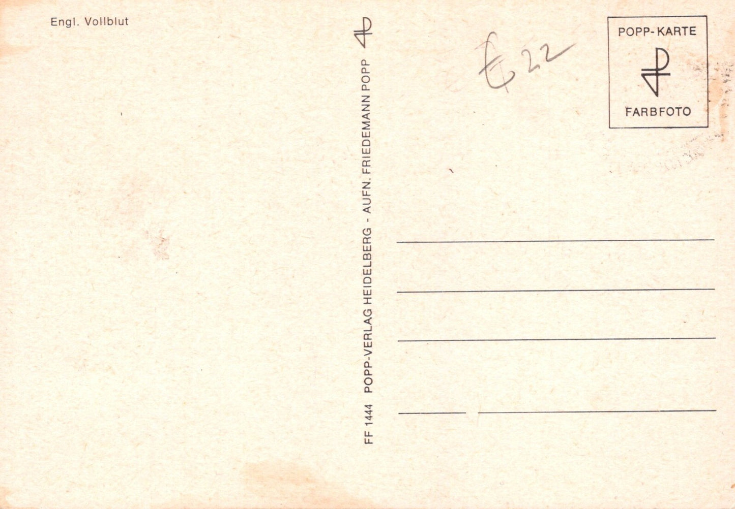 Bulgaria Maxi Card FDC Arabian Horses Zayix Stamps ZAYIX 0125M0173