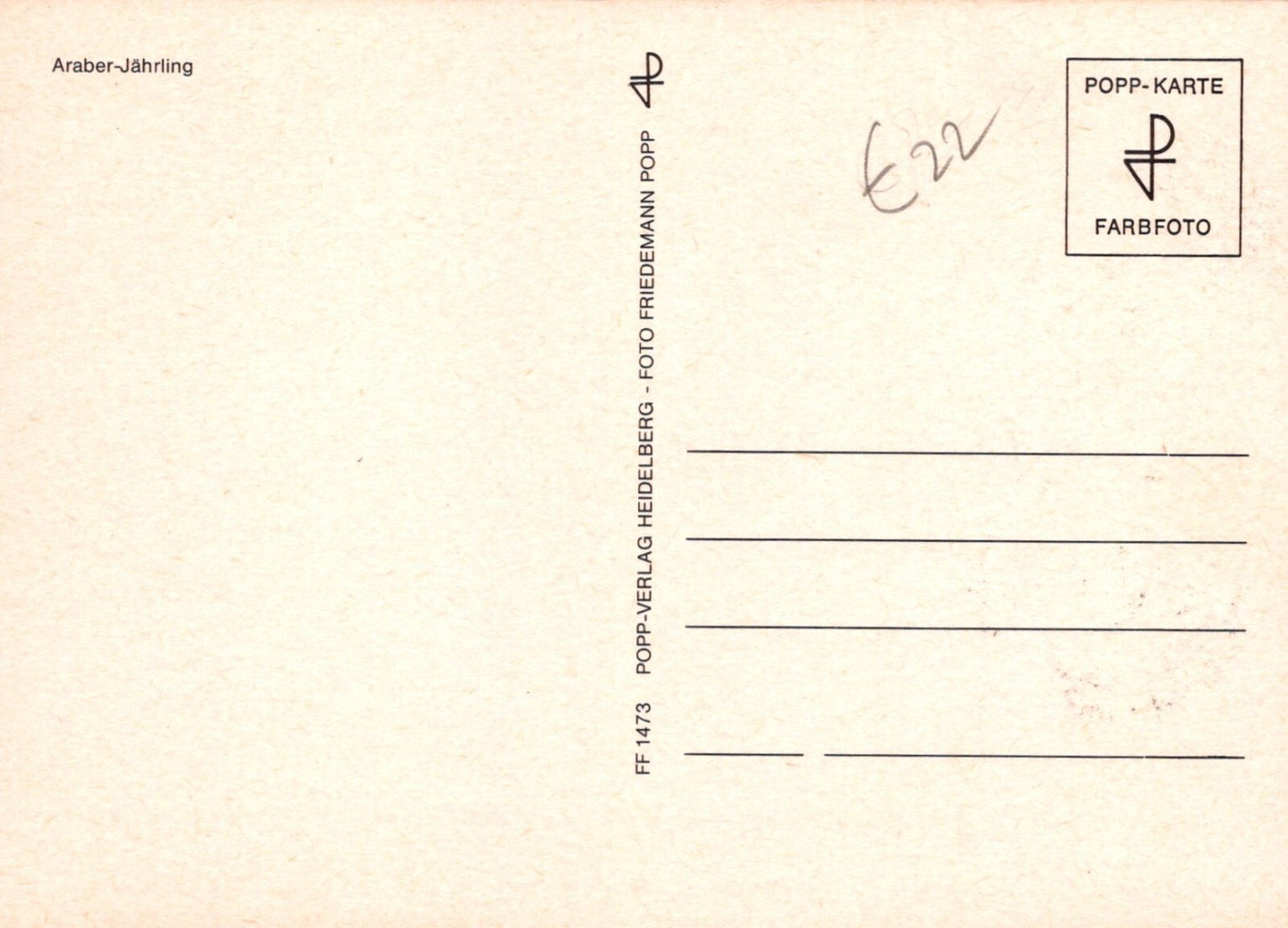Bulgaria Maxi Card FDC Arabian Horses Zayix Stamps ZAYIX 0125M0173