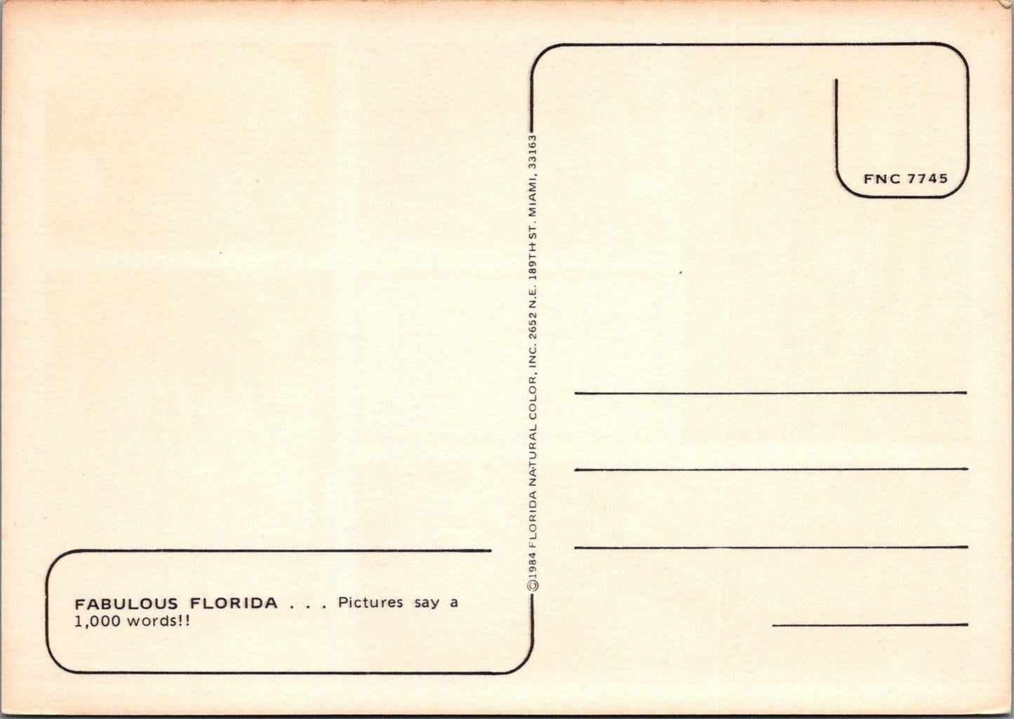 Fabulous Florida See It! Palm Tree Orange Seashell Postcard ZAYIX 102022PC40
