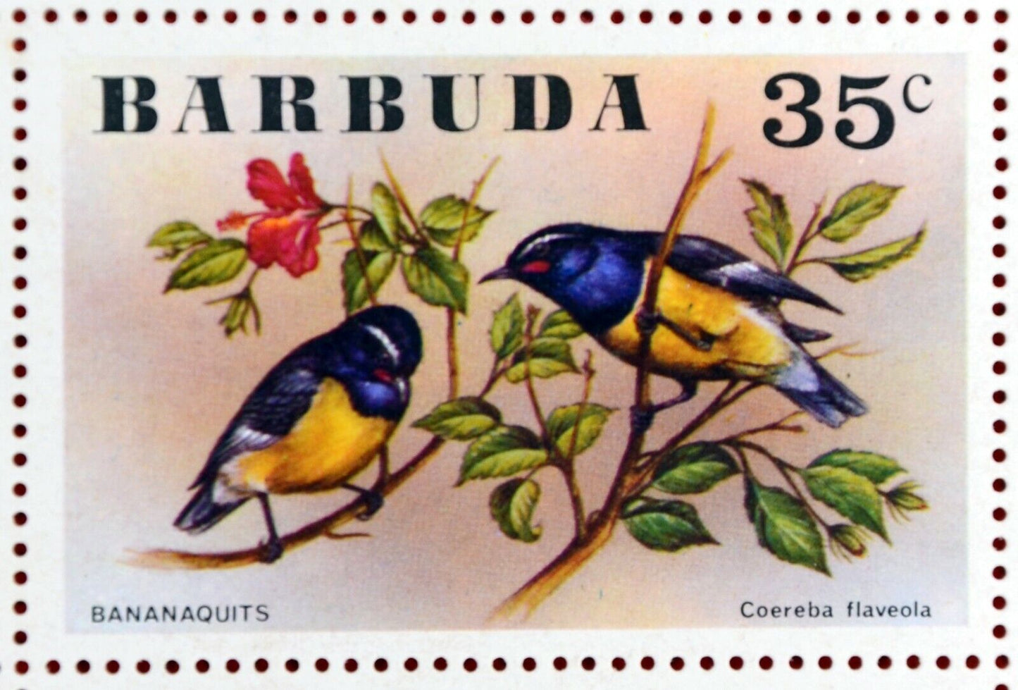 Barbuda 238-243 MNH Birds Flowers ZAYIX 0209AM05M