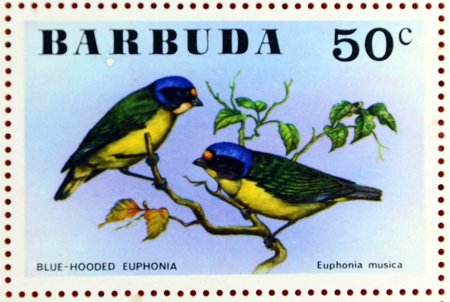 Barbuda 238-243 MNH Birds Flowers ZAYIX 0209AM05M