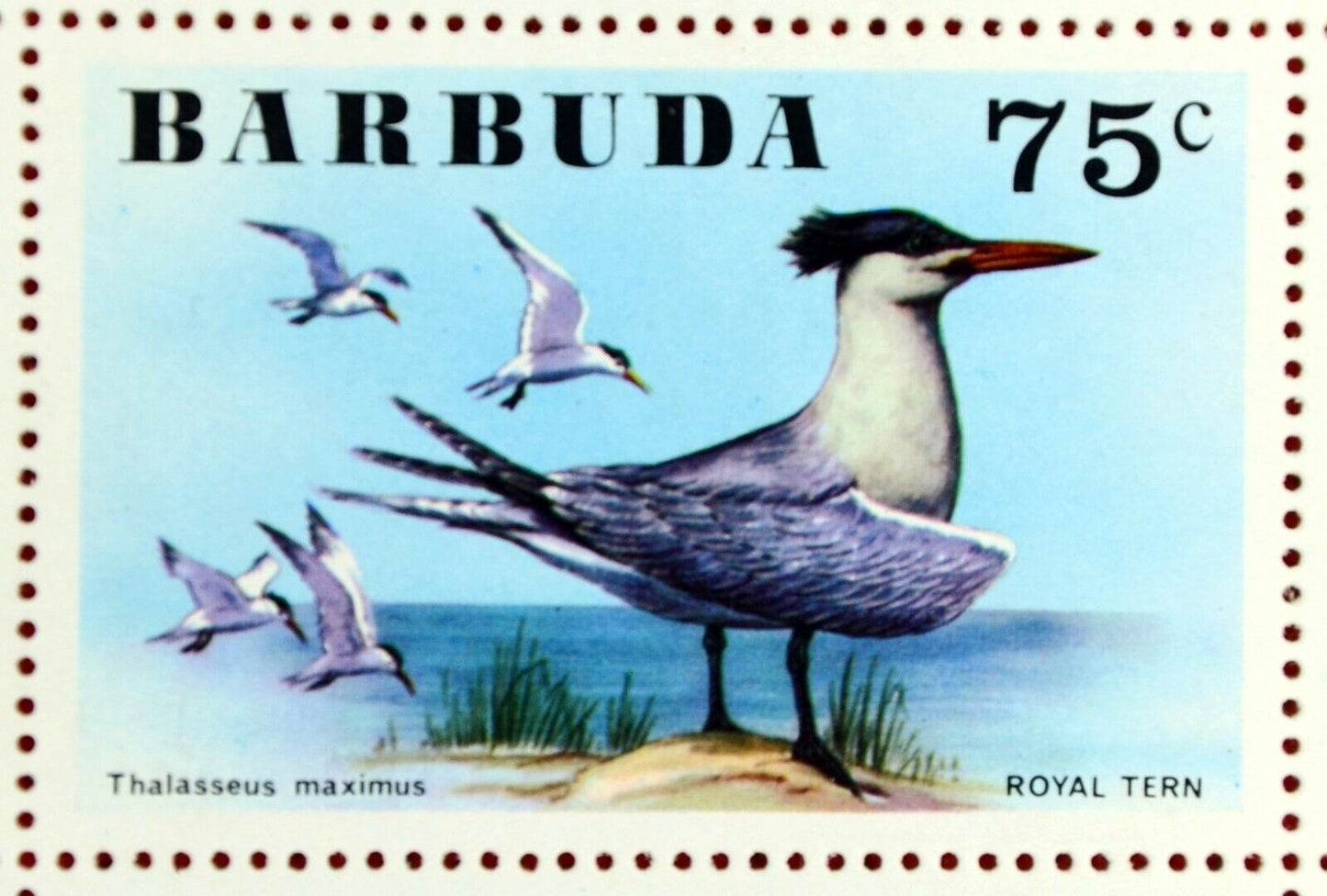 Barbuda 238-243 MNH Birds Flowers ZAYIX 0209AM05M