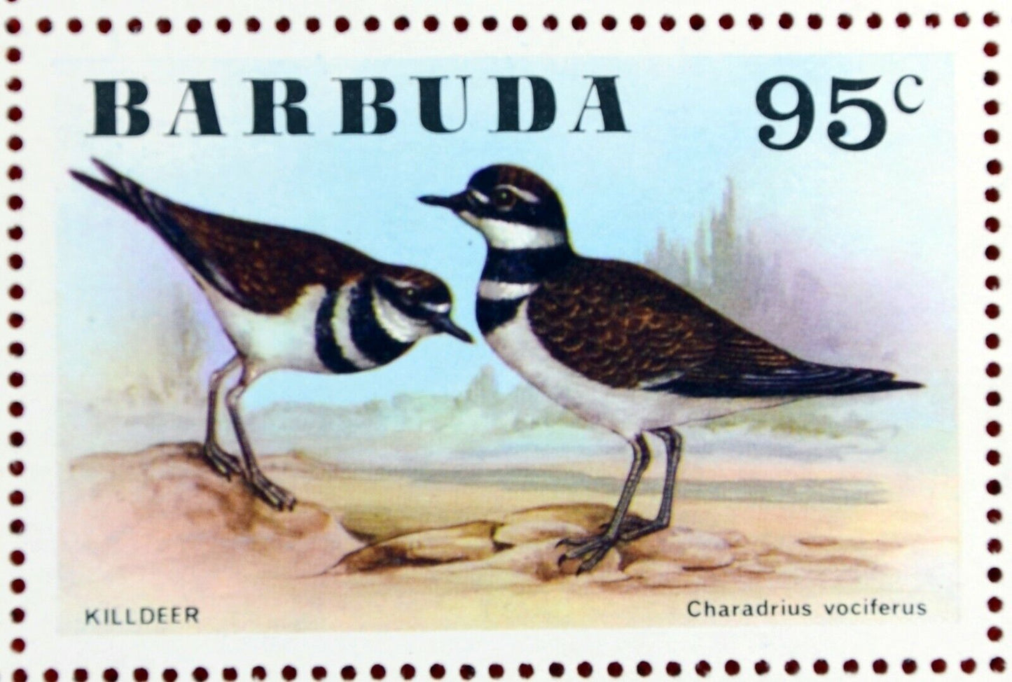 Barbuda 238-243 MNH Birds Flowers ZAYIX 0209AM05M