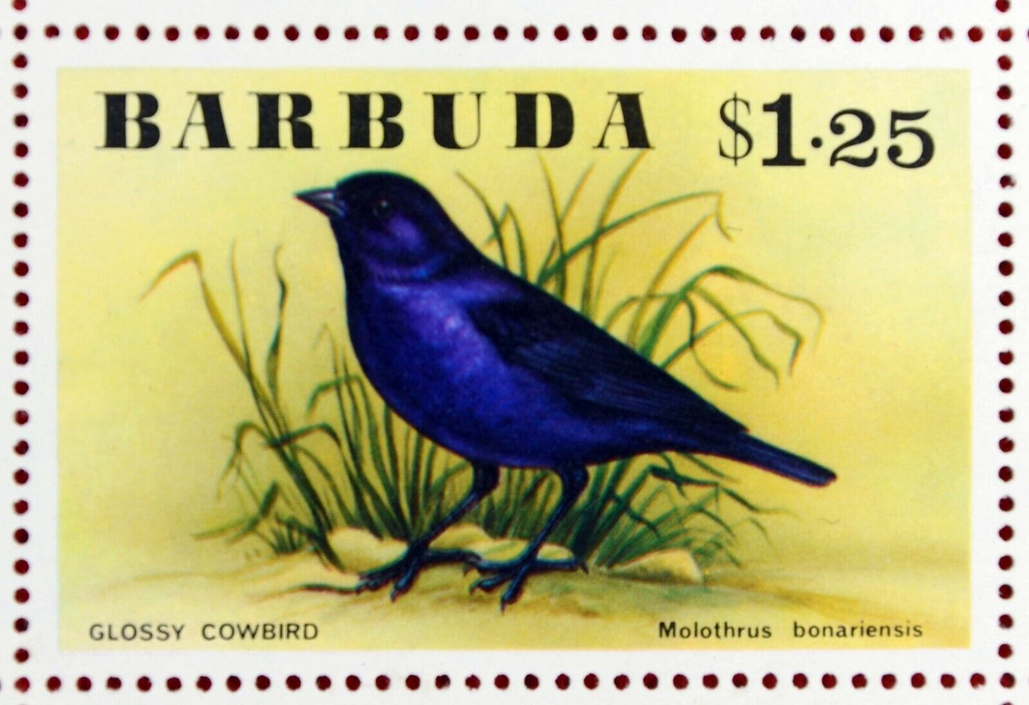 Barbuda 238-243 MNH Birds Flowers ZAYIX 0209AM05M