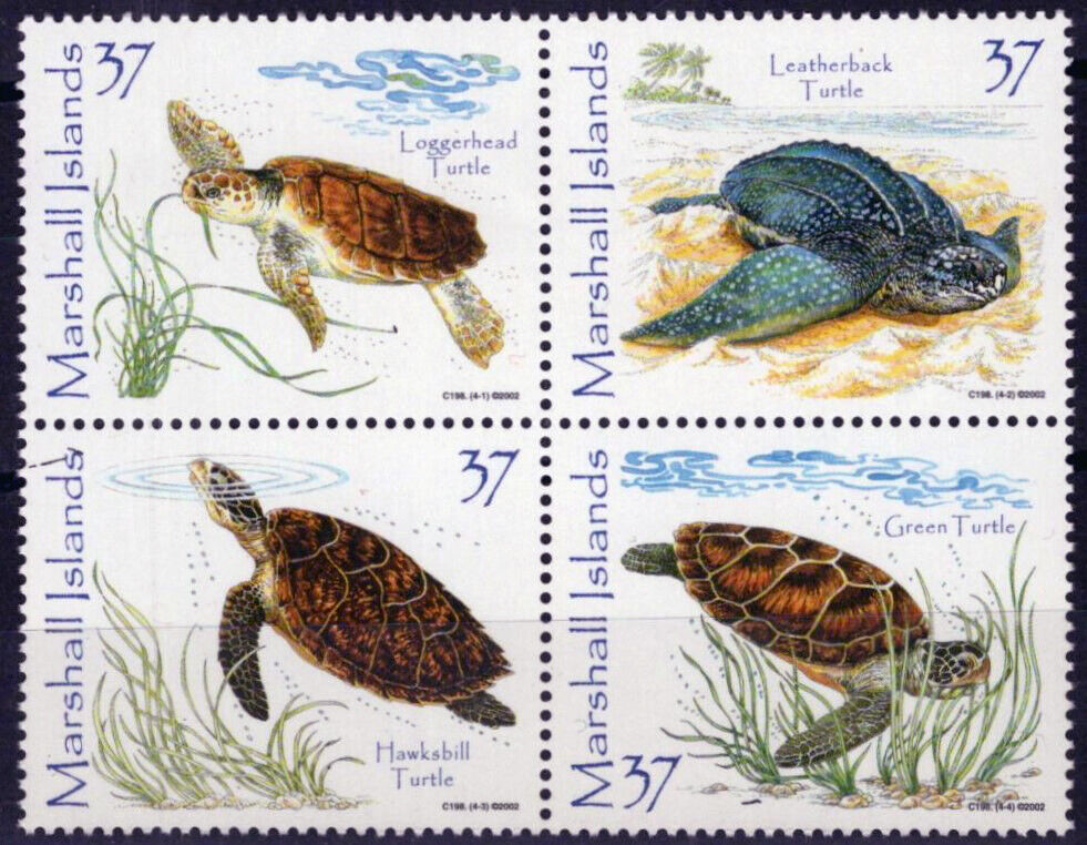 Marshall Islands 805 MNH Sea Turtles Marine Life ZAYIX 092023S88M