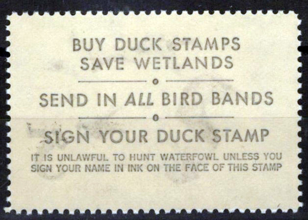 US RW42 MNH FVF $5 Canvasback Ducks & Decoy Revenue Zayix Stamps 0225MAR0060