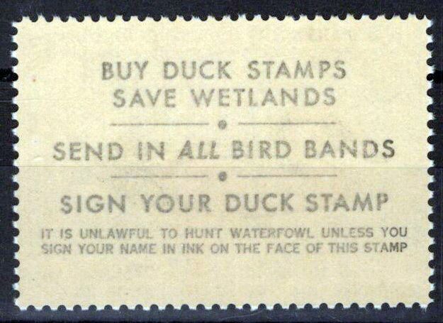 US RW52 MNH VF $7.50 Cinnamon Teal Duck Zayix Stamps 0225MAR0070