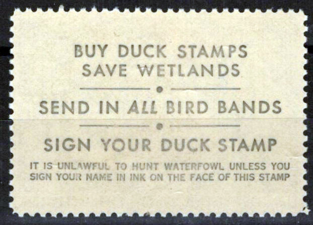 US RW53 MNH VF Fulvous Whistling Duck Duck Revenue Zayix Stamps 0225MAR0071