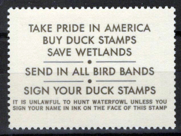 US RW56 MNH VF $12.50 Lesser Scaup Duck Revenue Zayix Stamps 0225MAR0074