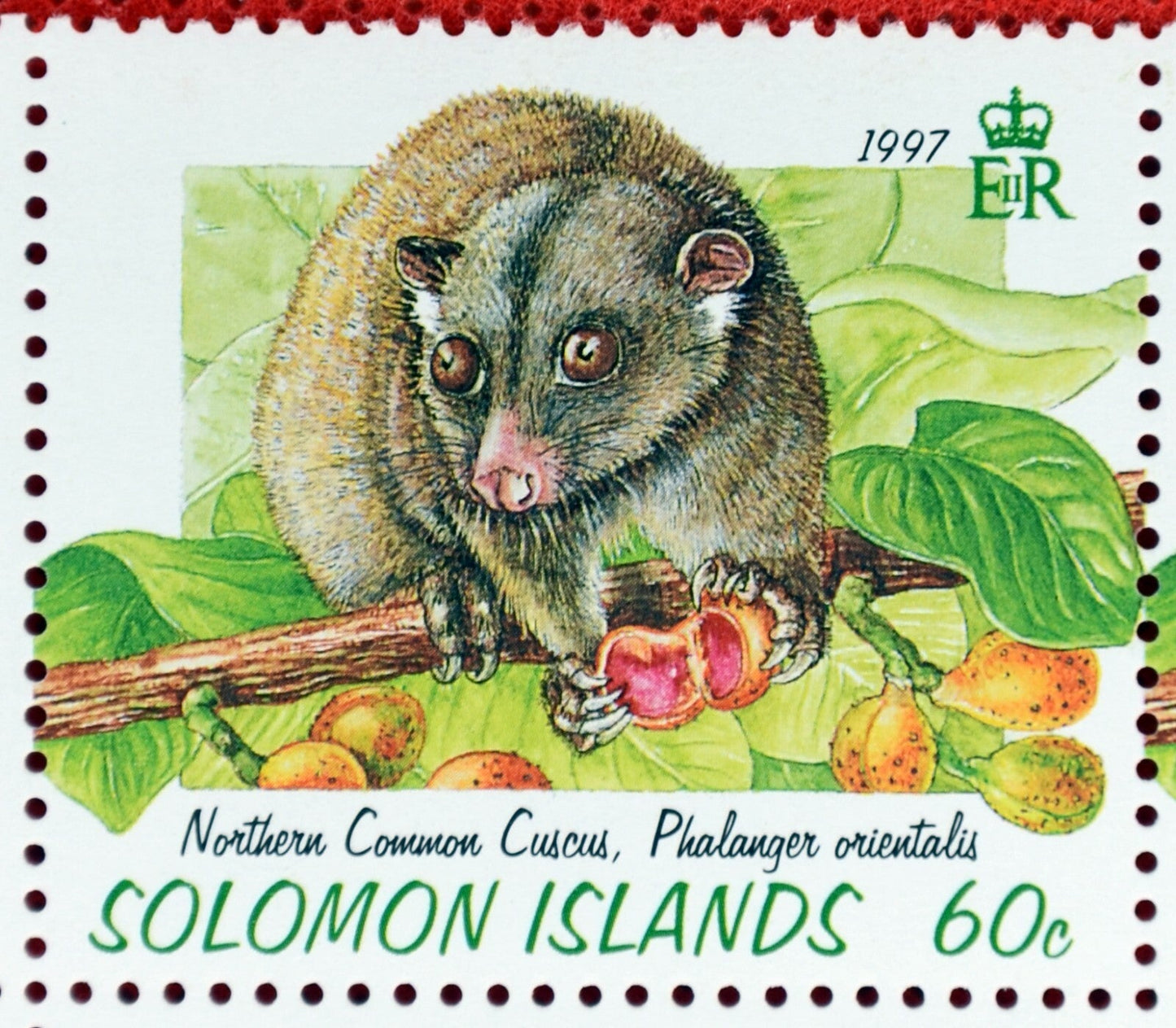 1997 Solomon Islands 843-846 MNH Fruit Wildlife Arboreal Animals ZAYIX