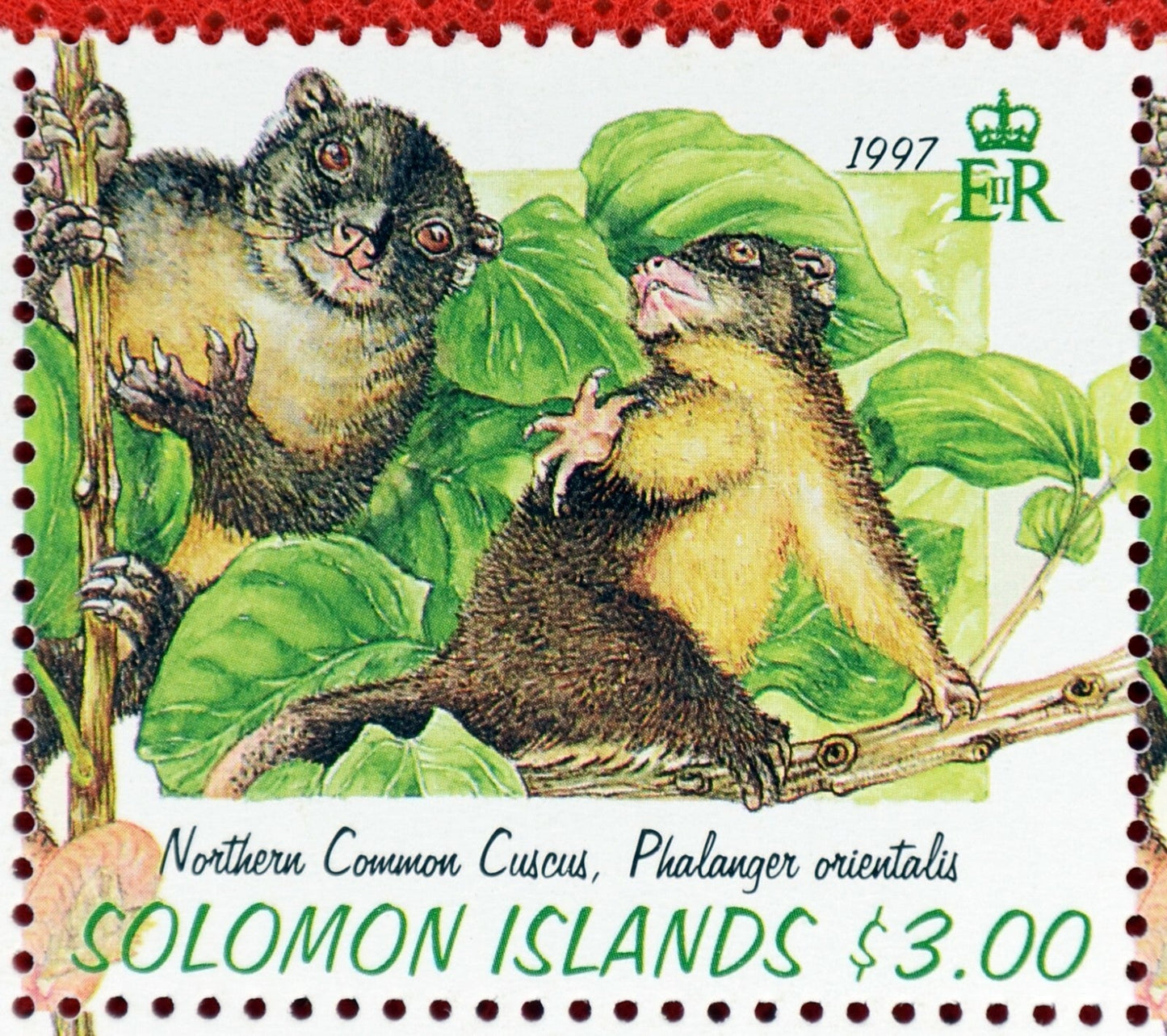 1997 Solomon Islands 843-846 MNH Fruit Wildlife Arboreal Animals ZAYIX