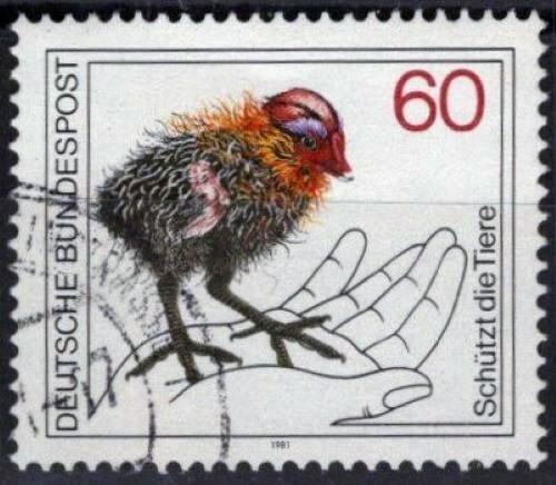 Germany 1355 Used Wildlife Protection Baby Coot Birds ZAYIX 113022S118M