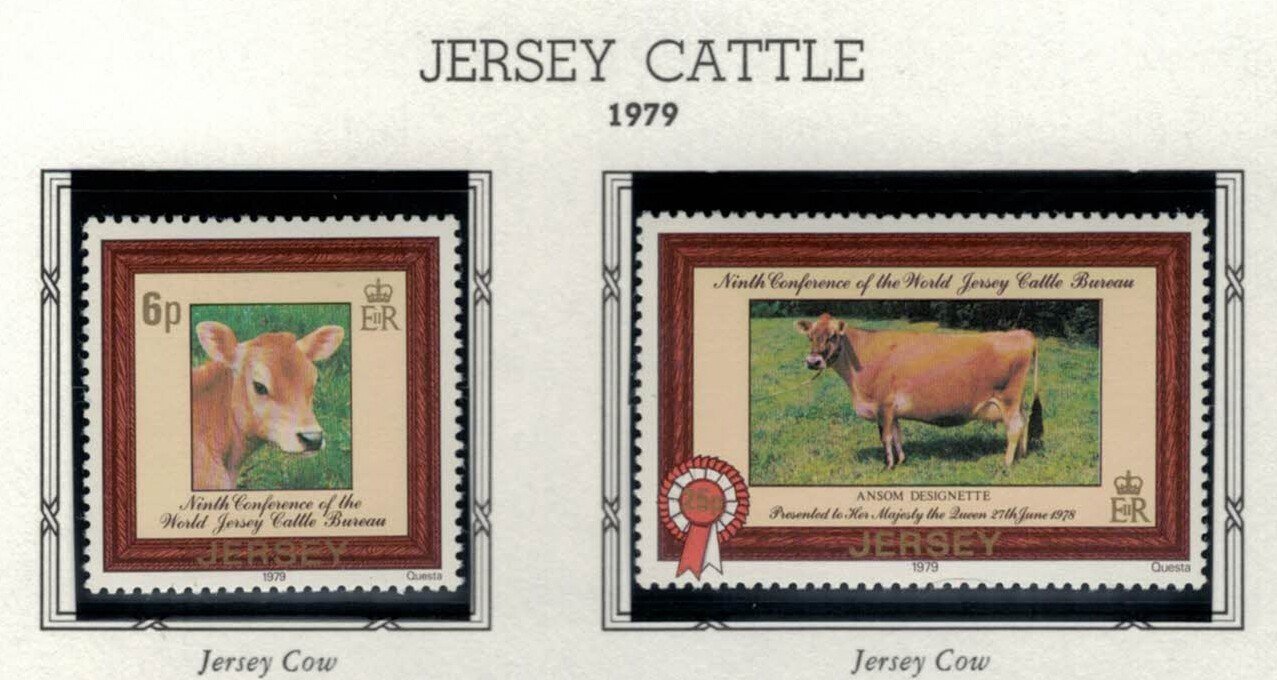 Jersey 206-207 MNH 1979 Cattle Agriculture Animals ZAYIX 020522S38M