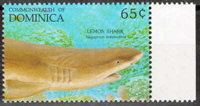 Dominica 1479f MNH Lemon Shark Fish Marine Life ZAYIX 072822S35