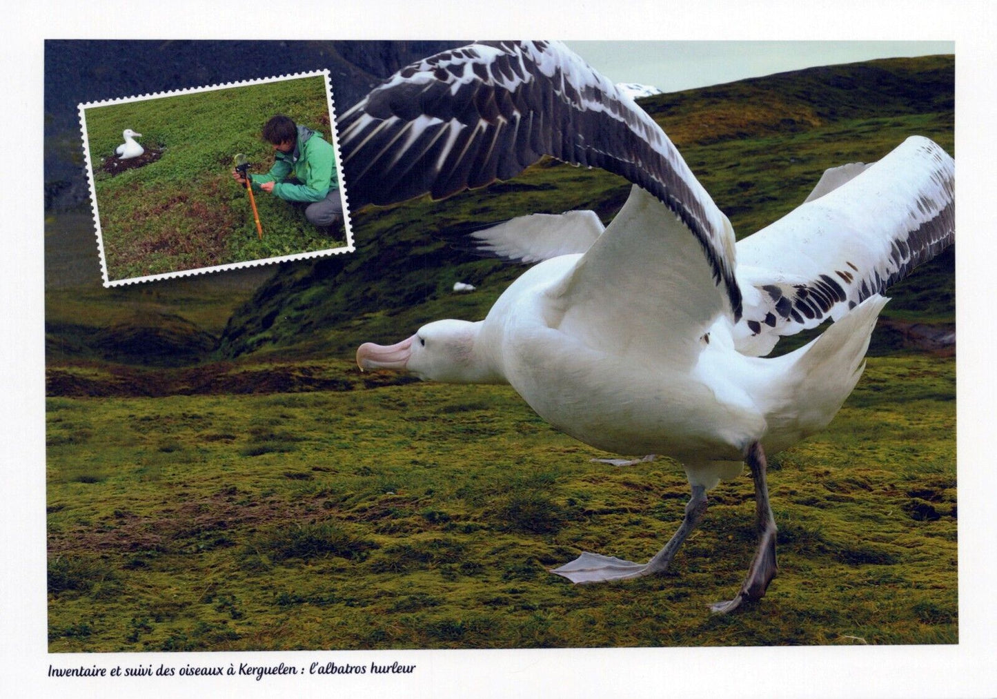 FSAT TAAF 573C MNH Postcards and Covers from 1999 Voyage Booklet ZAYIX FSA-L0031