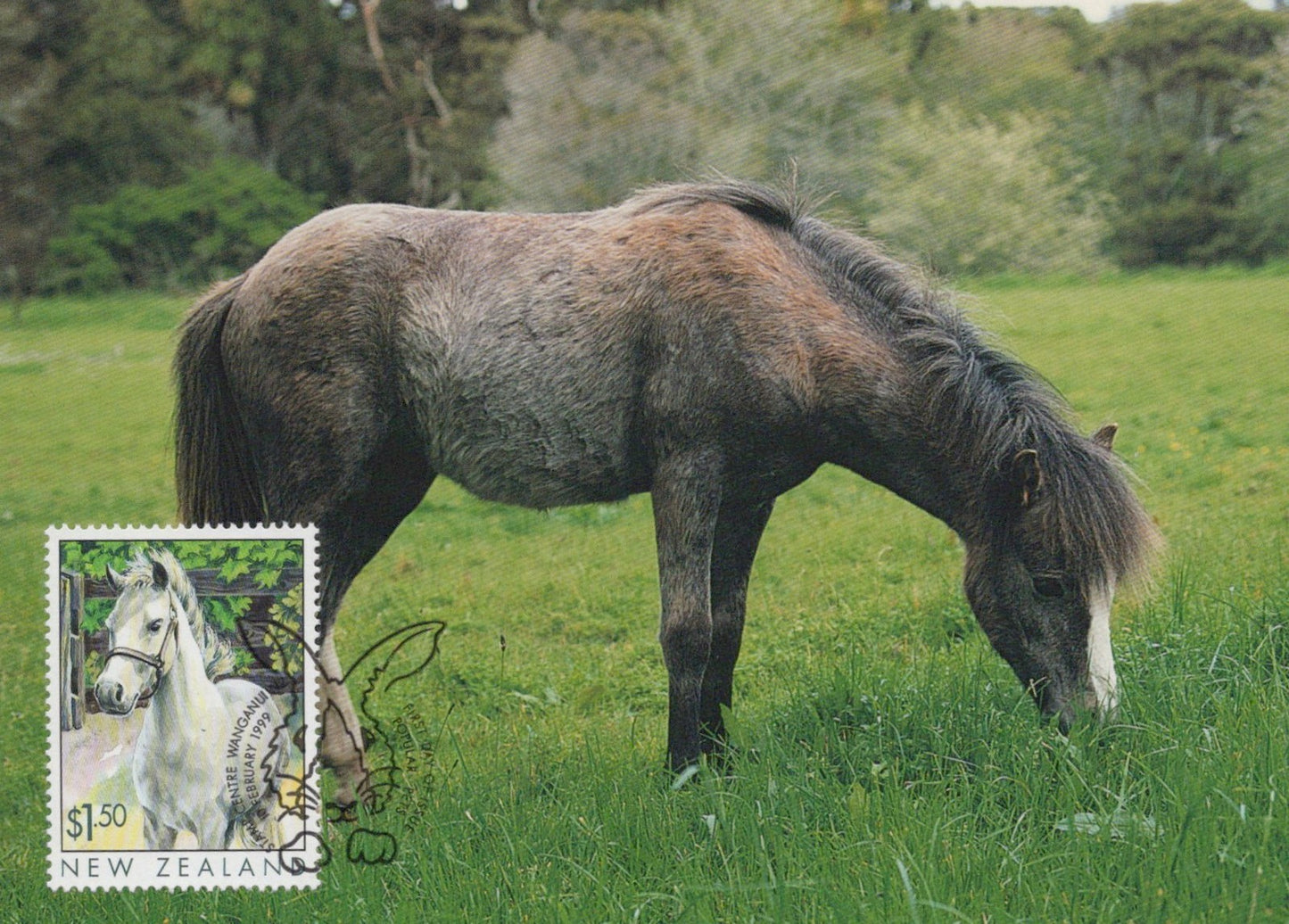 New Zealand Maximum Card FDC Horses Zayix Stamps 0125M0362