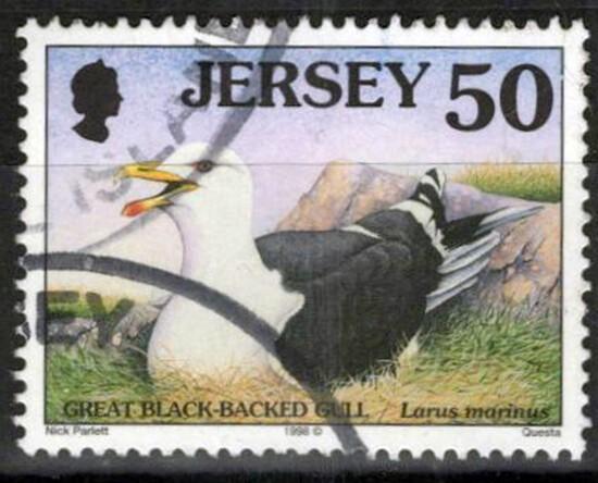 Jersey 871 Used 50p Black-Backed Gull Birds ZAYIX 033023S21